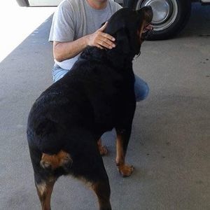 Meet your Posher, Rodil